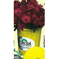 4" Tall Recycle Plastic Pail & Lid GroPot Kit with Seeds/ Soil/ Nutrients
